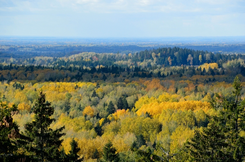 Vaade Suurelt Munamäelt sügisvärvides metsadele horisondini