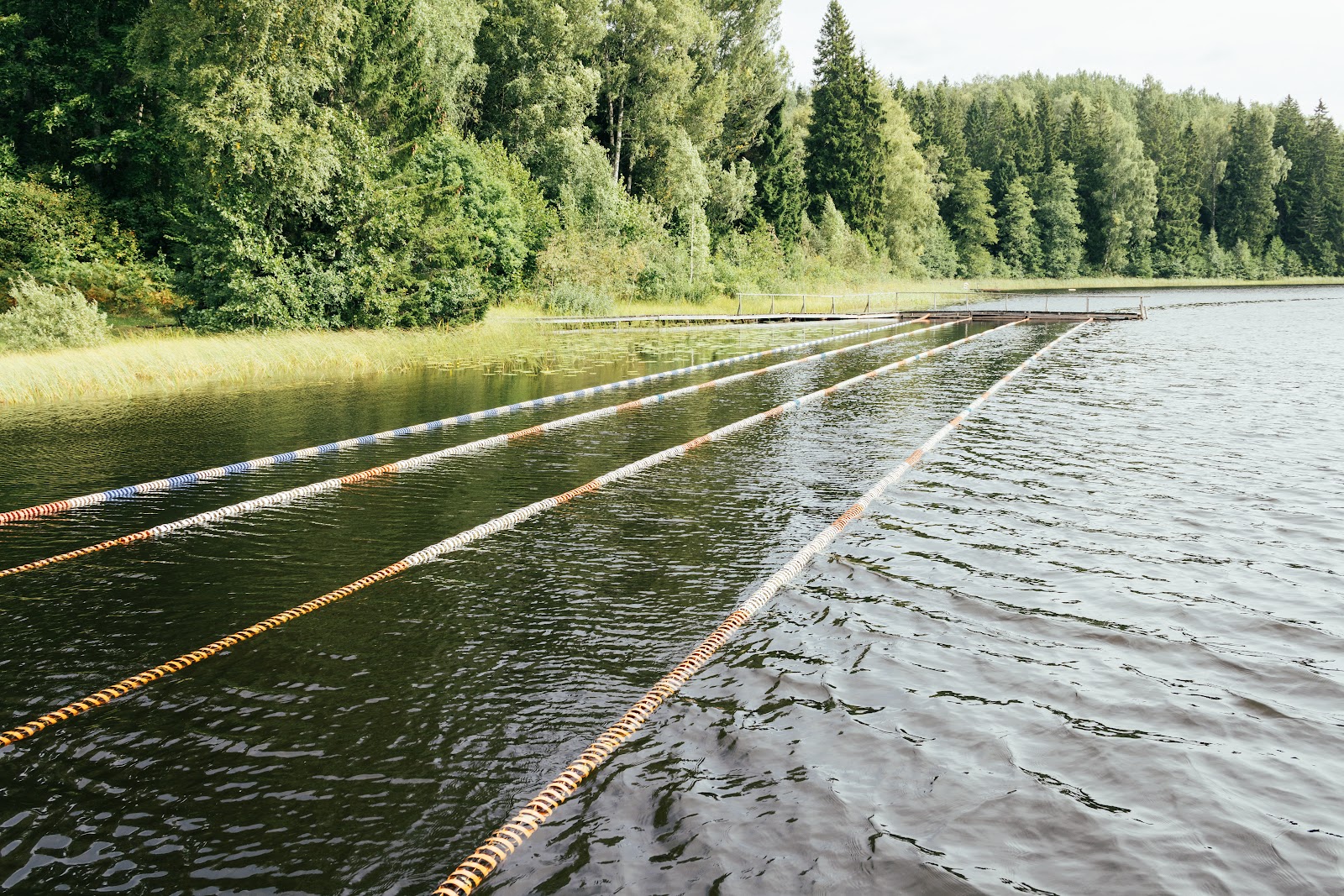 Ujumisalad Väikjärvel