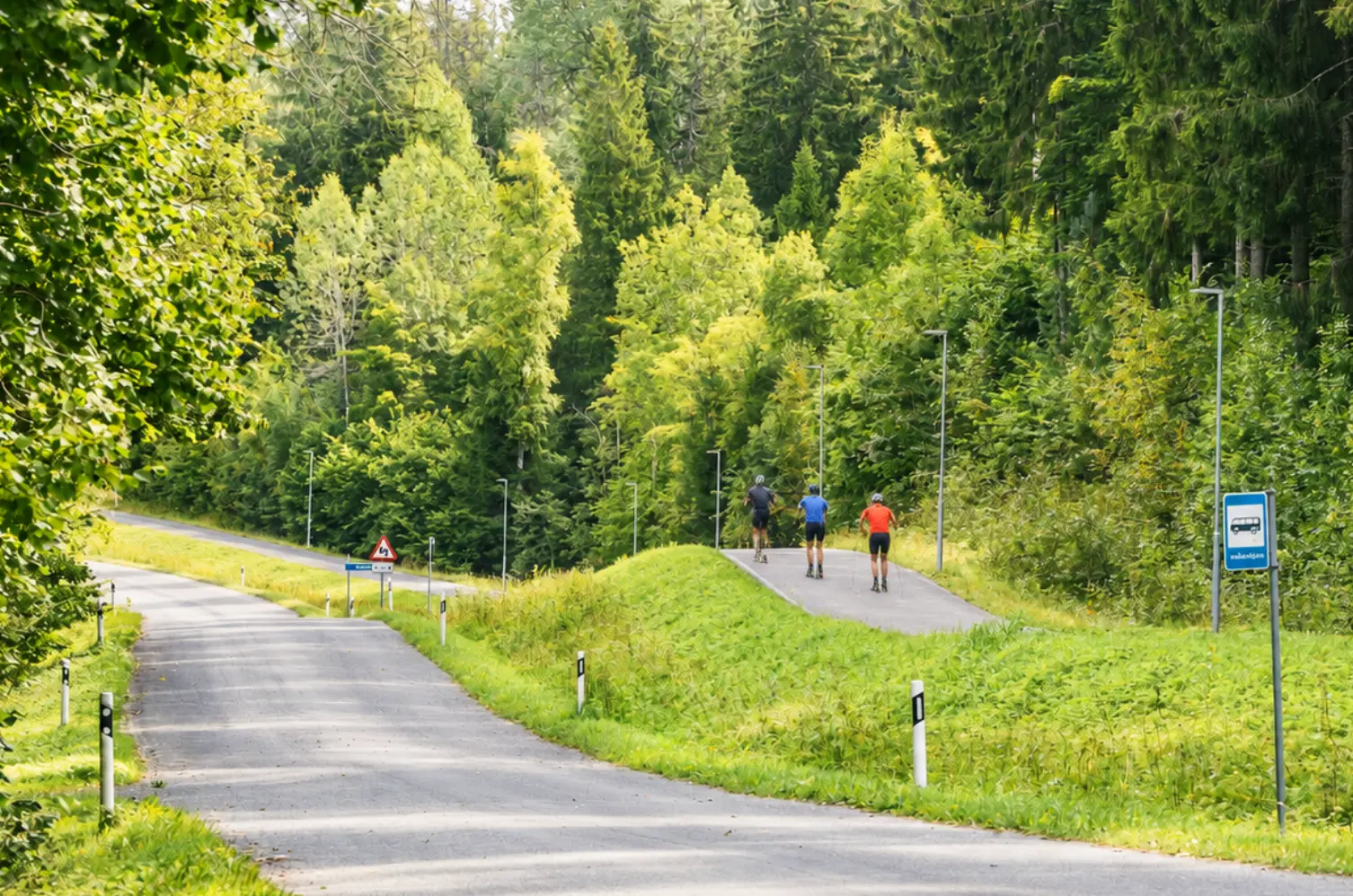 Rullsuusatajad suvisel metsateel Haanjamaal