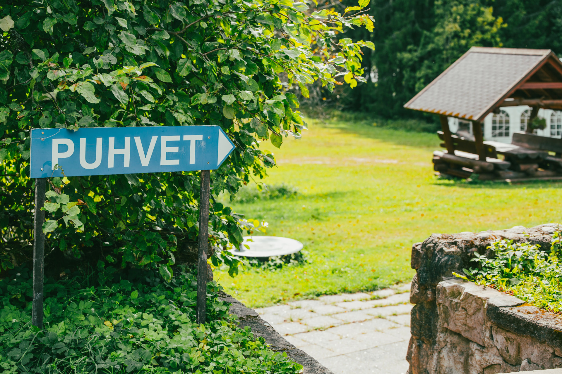 Puhveti suunaviit
