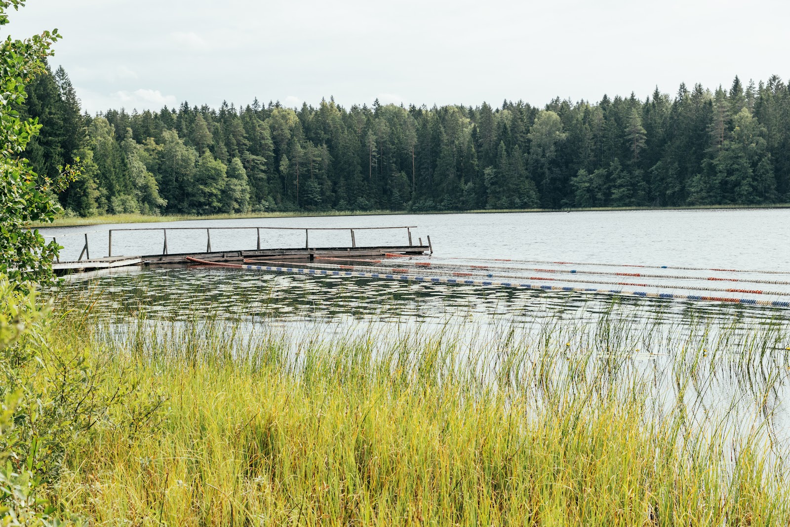 Väikjärve paadisild suvel